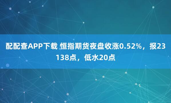 配配查APP下载 恒指期货夜盘收涨0.52%，报23138点，低水20点