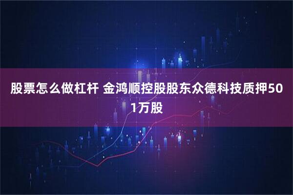 股票怎么做杠杆 金鸿顺控股股东众德科技质押501万股