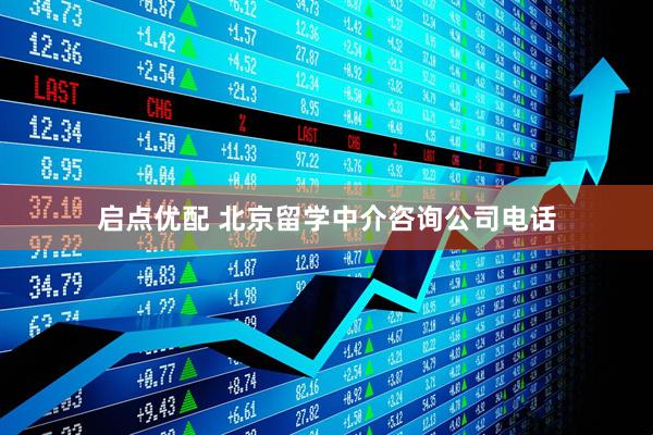 启点优配 北京留学中介咨询公司电话